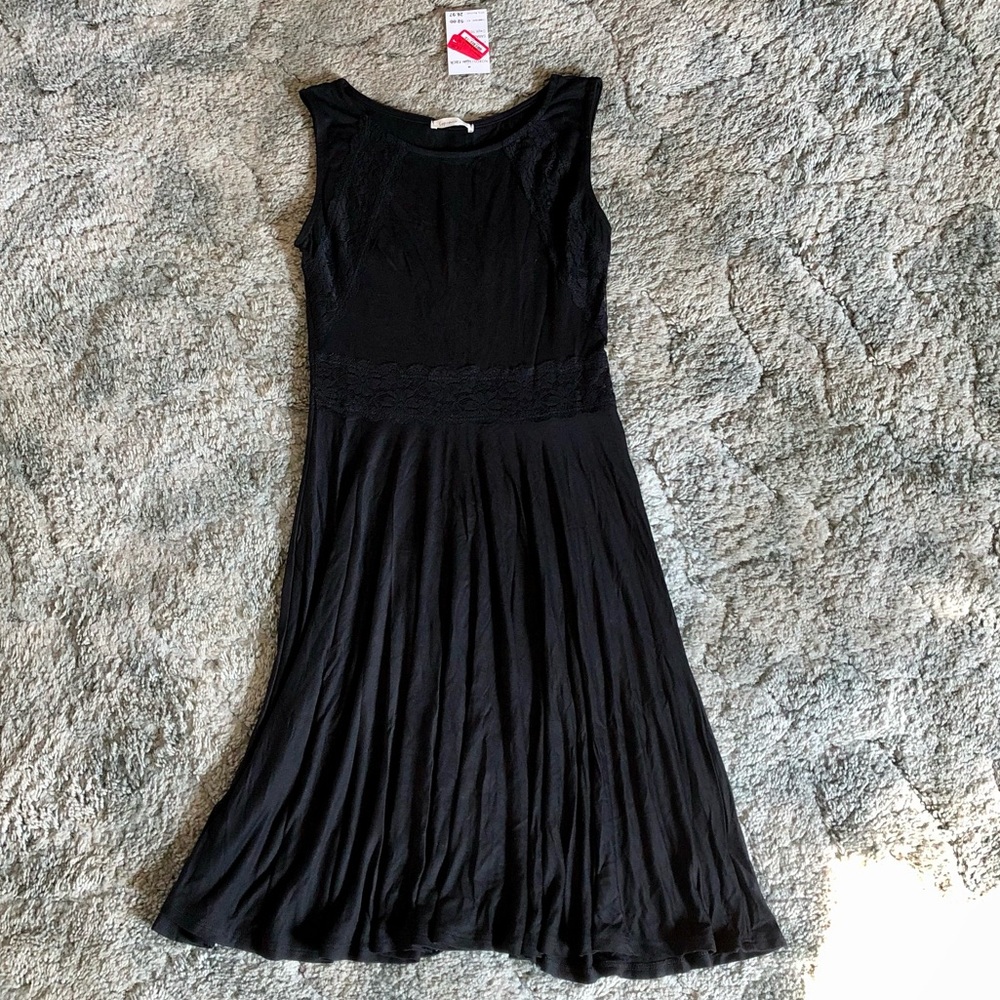 NWT Skater Dress